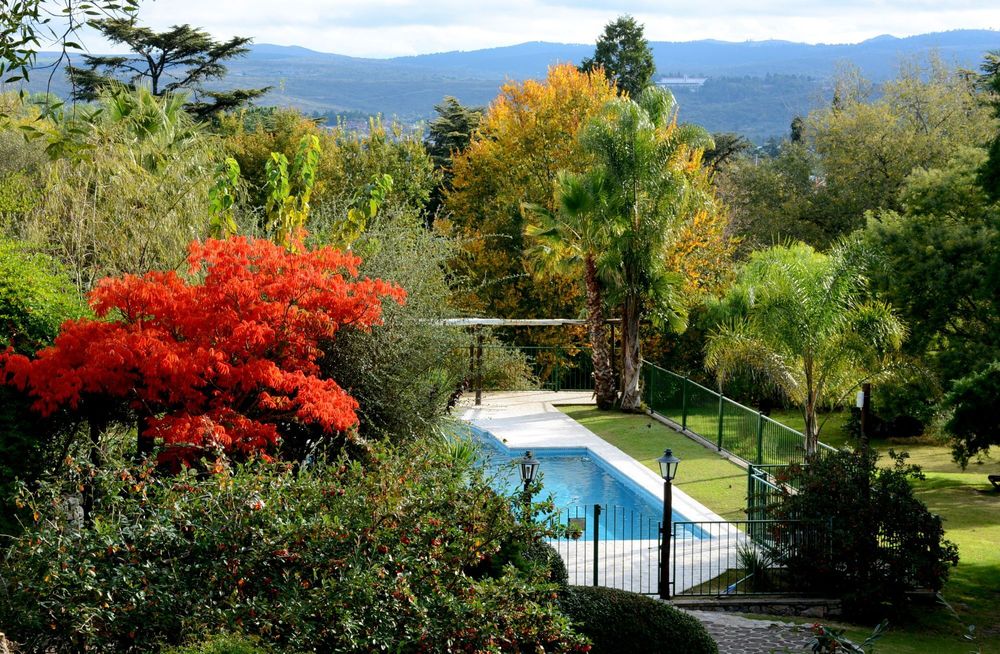 Parque y jardines de Las Ardillas